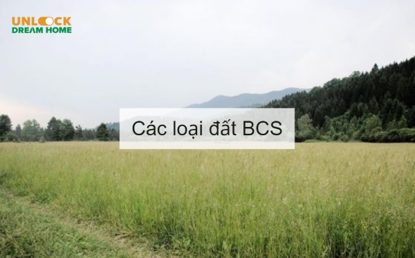 Các loại về đất BCS